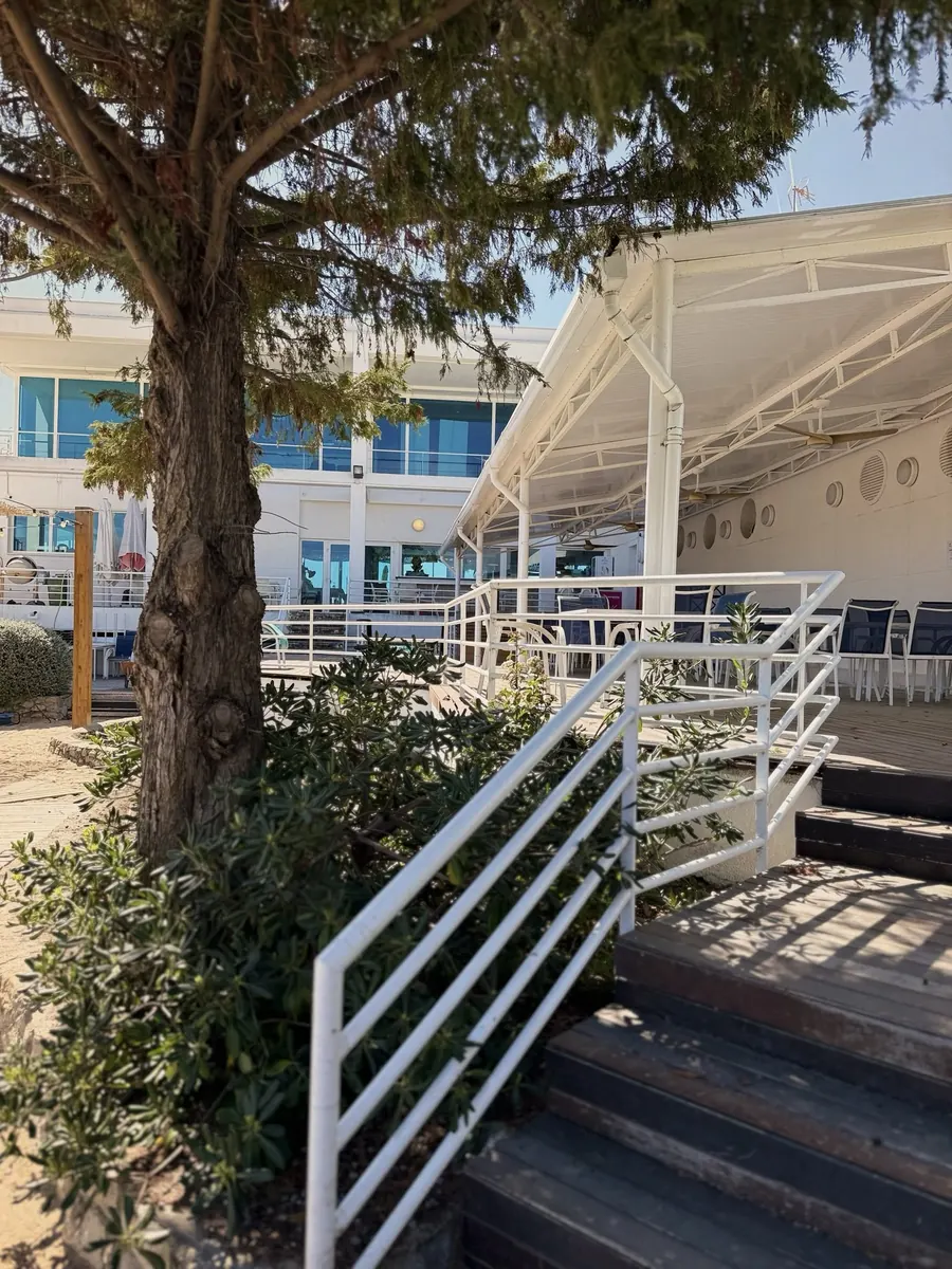 Zona Oasis amb escala, tendal blanc i pi